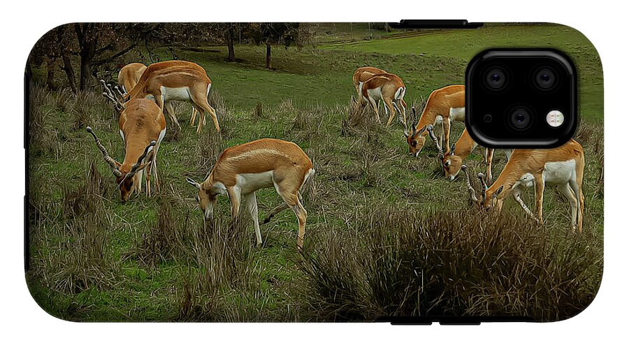 Elk - Phone Case
