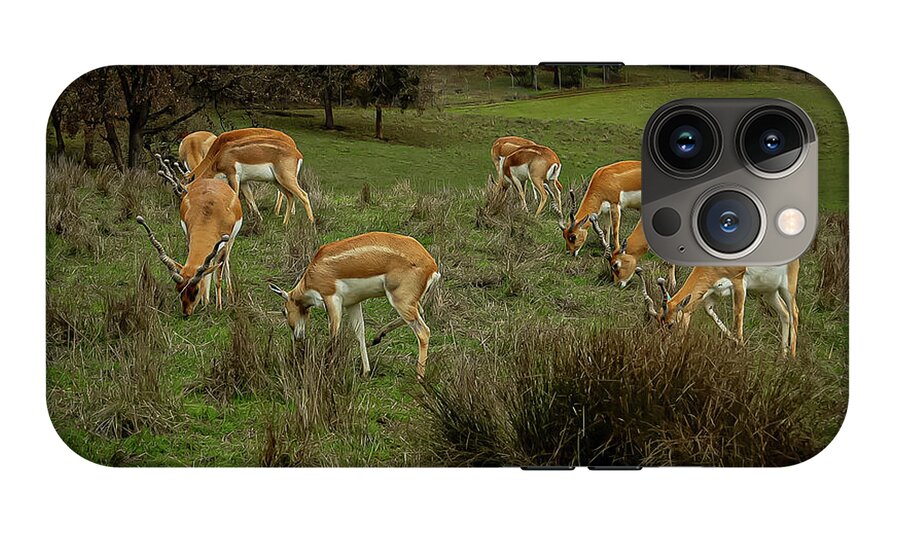 Elk - Phone Case