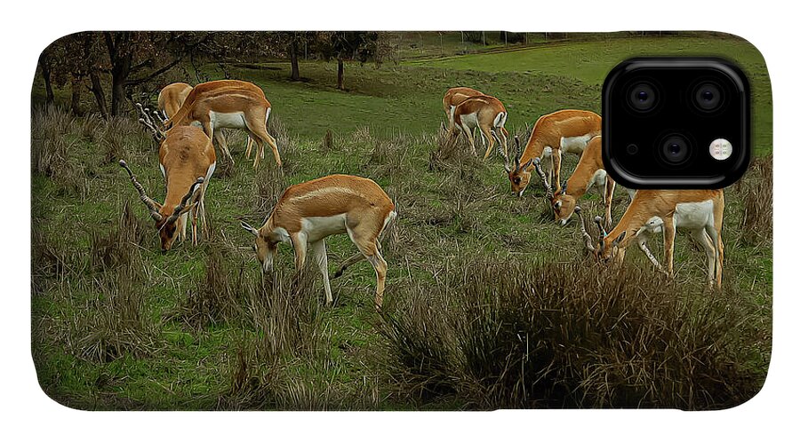 Elk - Phone Case
