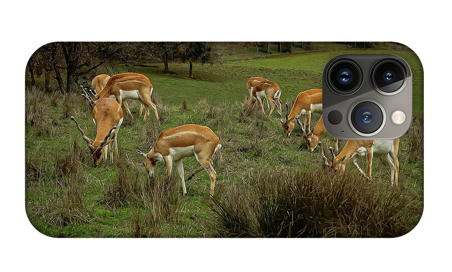 Elk - Phone Case