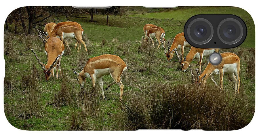 Elk - Phone Case