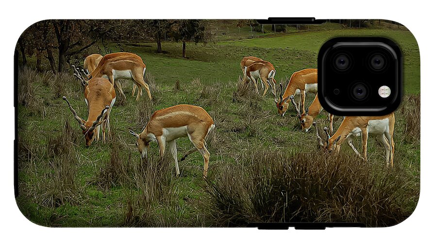 Elk - Phone Case