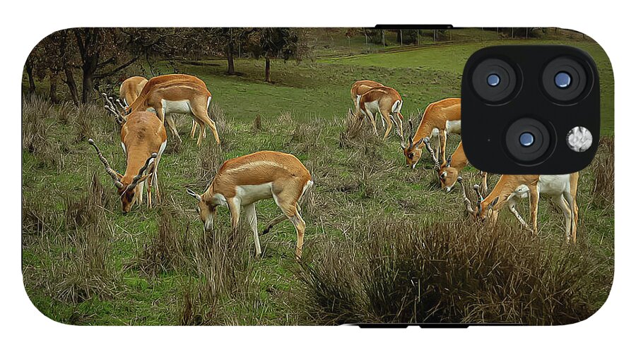 Elk - Phone Case