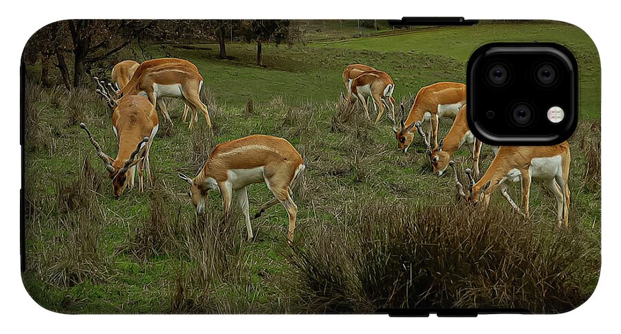 Elk - Phone Case