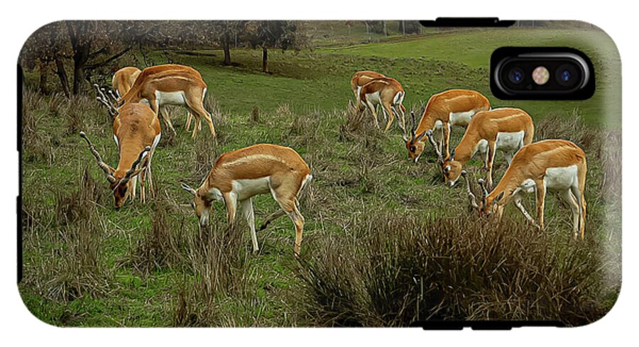 Elk - Phone Case