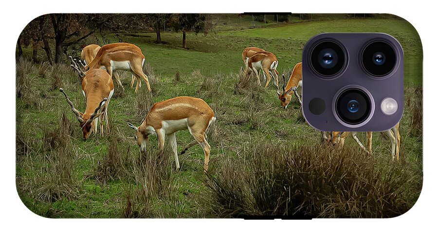 Elk - Phone Case