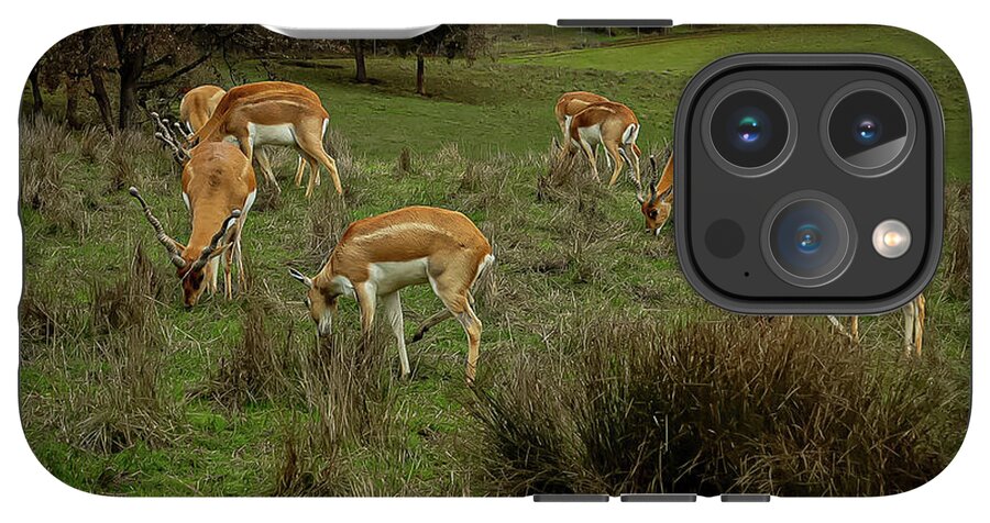 Elk - Phone Case