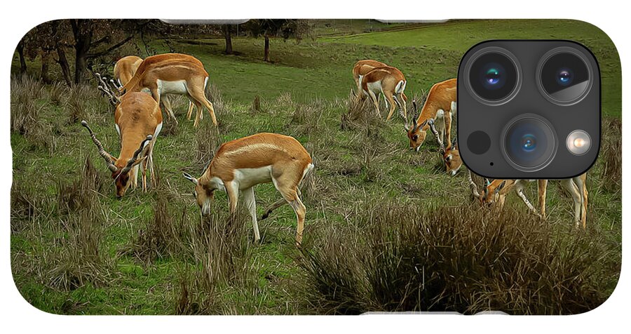 Elk - Phone Case