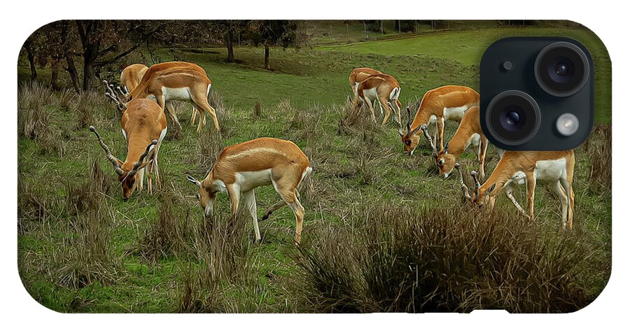 Elk - Phone Case