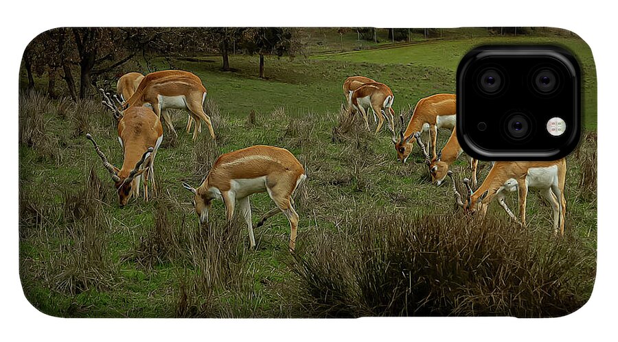 Elk - Phone Case