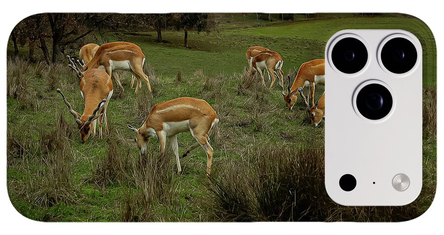 Elk - Phone Case