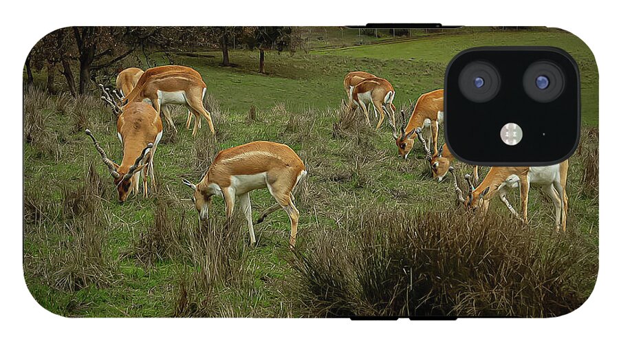 Elk - Phone Case