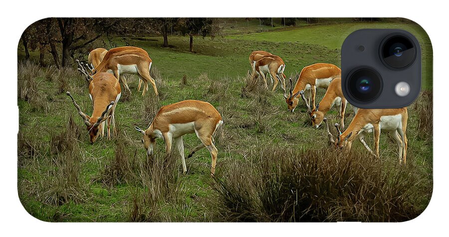 Elk - Phone Case
