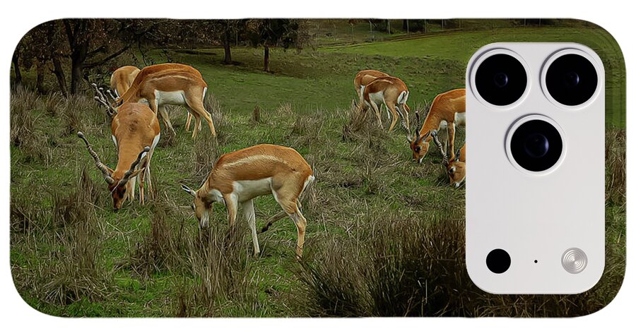 Elk - Phone Case