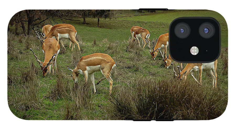 Elk - Phone Case