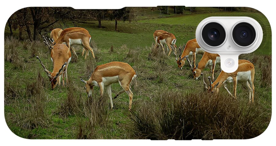 Elk - Phone Case