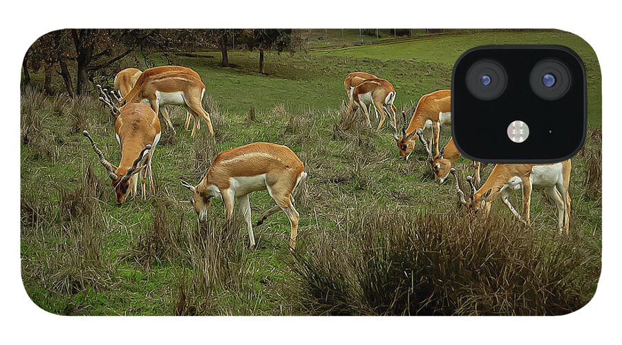 Elk - Phone Case