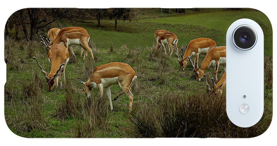 Elk - Phone Case