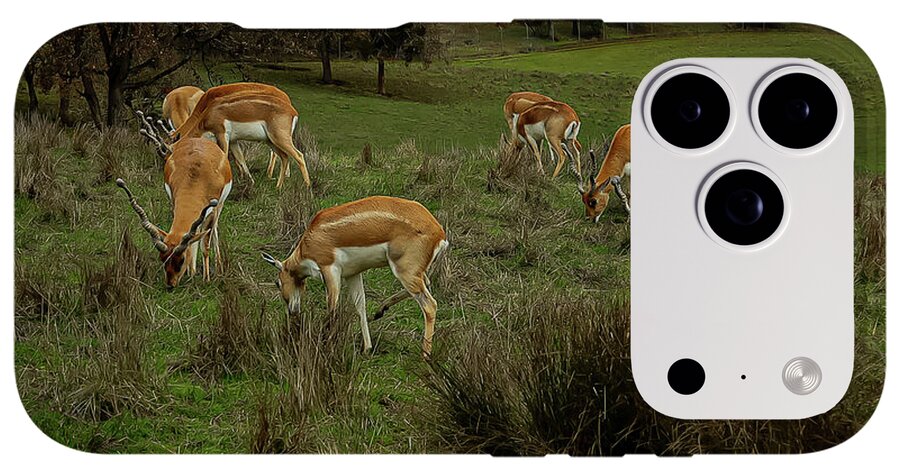 Elk - Phone Case