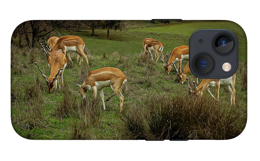 Elk - Phone Case