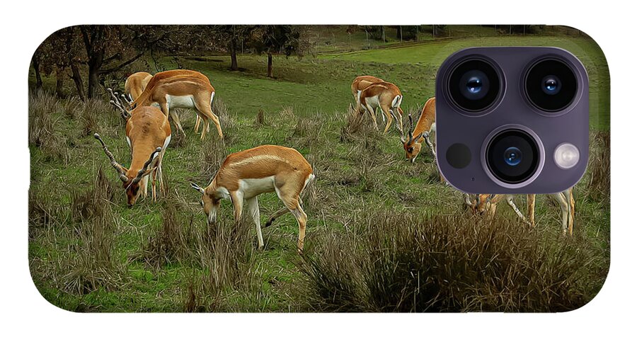 Elk - Phone Case