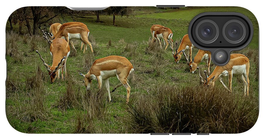 Elk - Phone Case