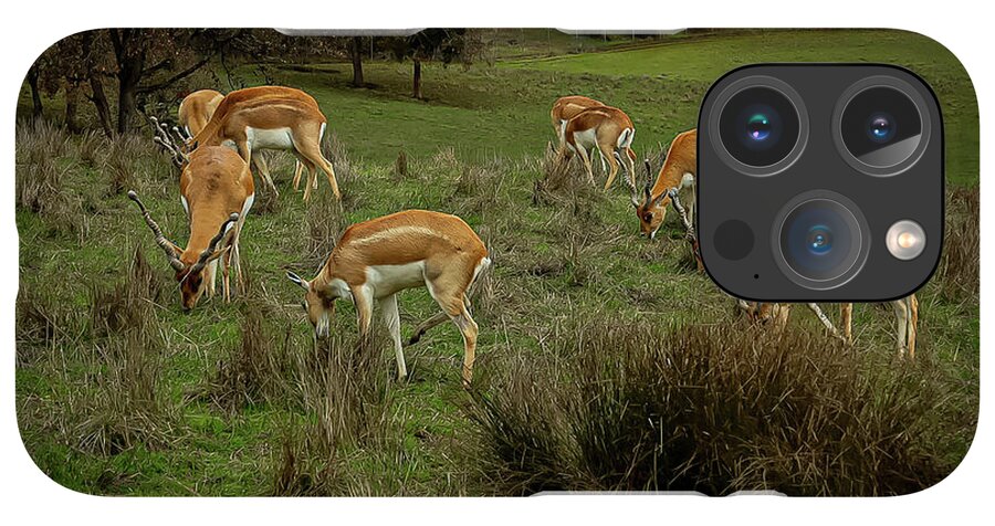 Elk - Phone Case