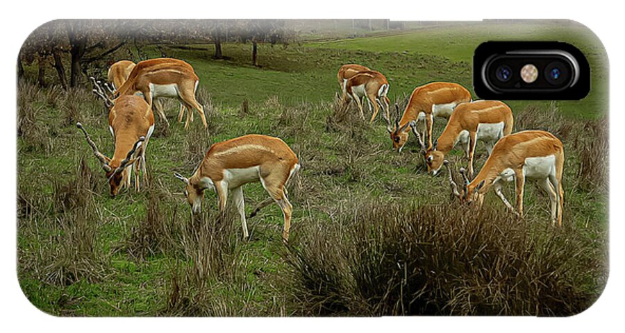 Elk - Phone Case