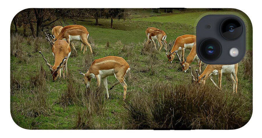 Elk - Phone Case