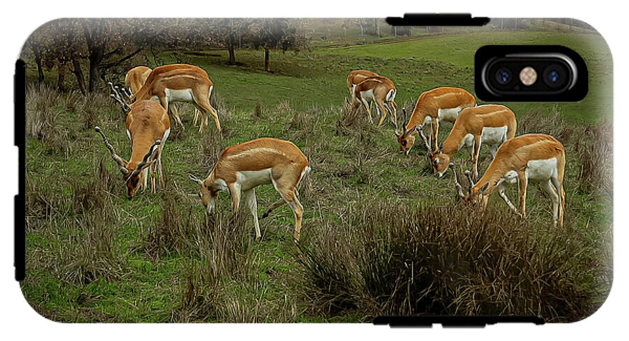 Elk - Phone Case
