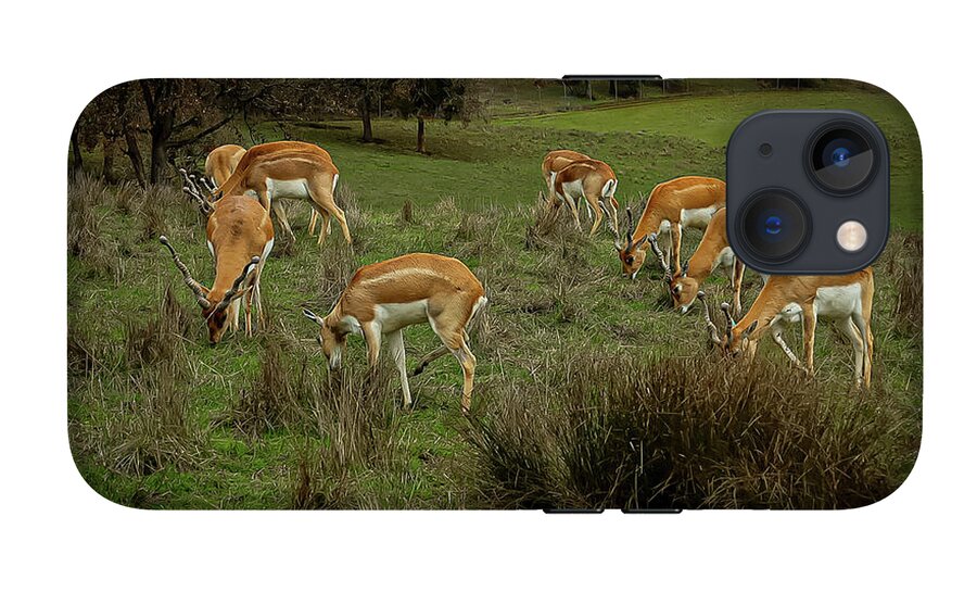 Elk - Phone Case
