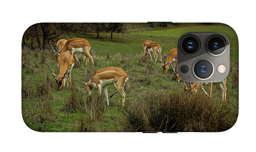 Elk - Phone Case