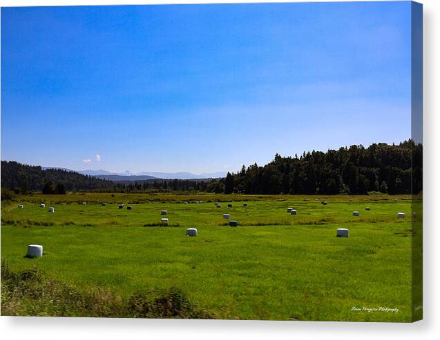 Farming - Canvas Print