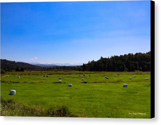 Farming - Canvas Print