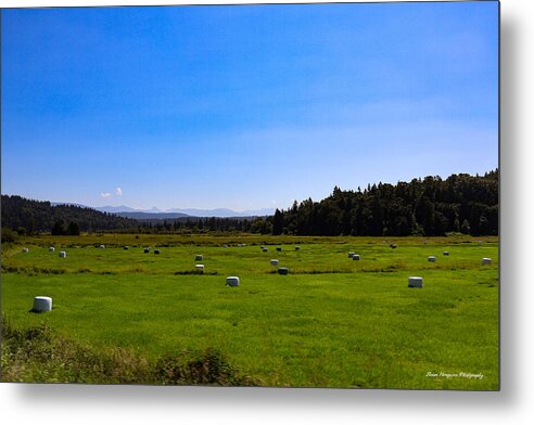 Farming - Metal Print