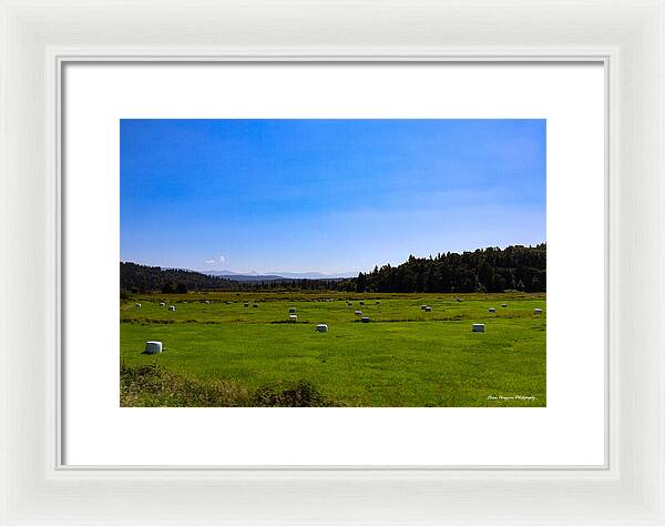 Farming - Framed Print