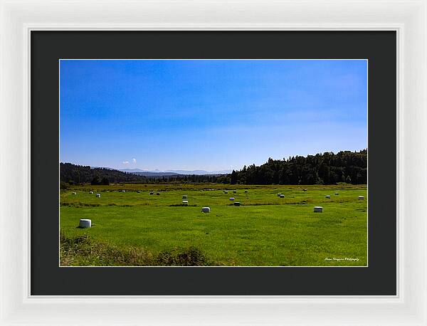 Farming - Framed Print
