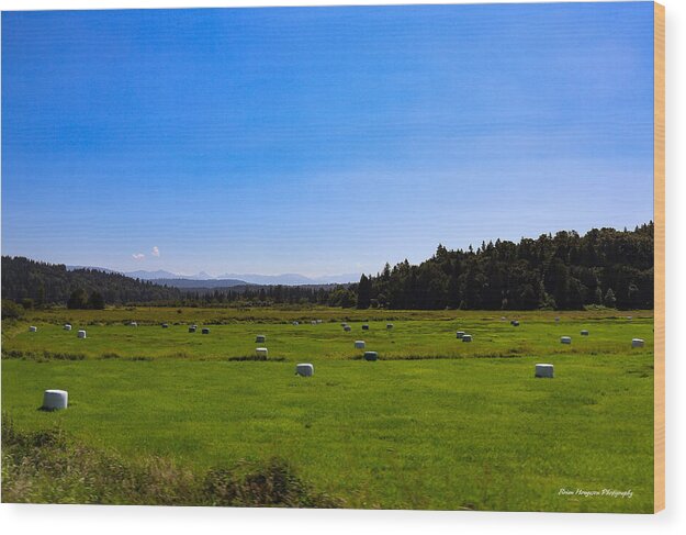Farming - Wood Print