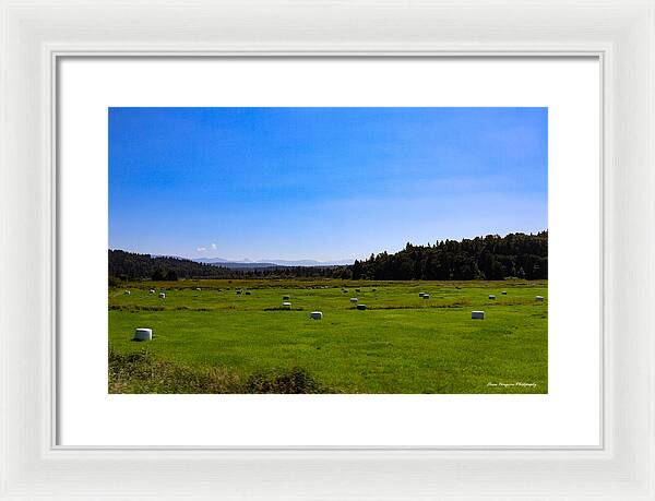 Farming - Framed Print