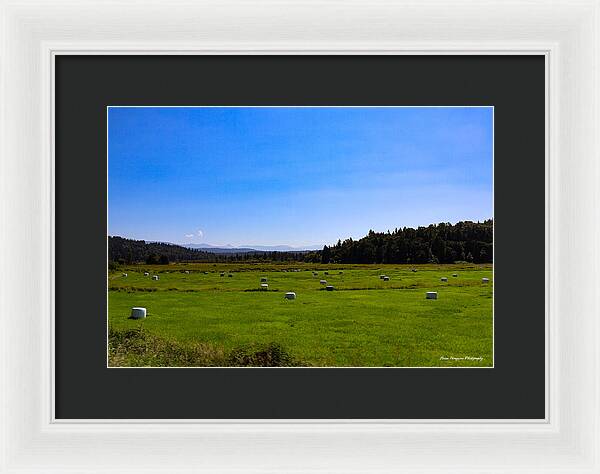 Farming - Framed Print