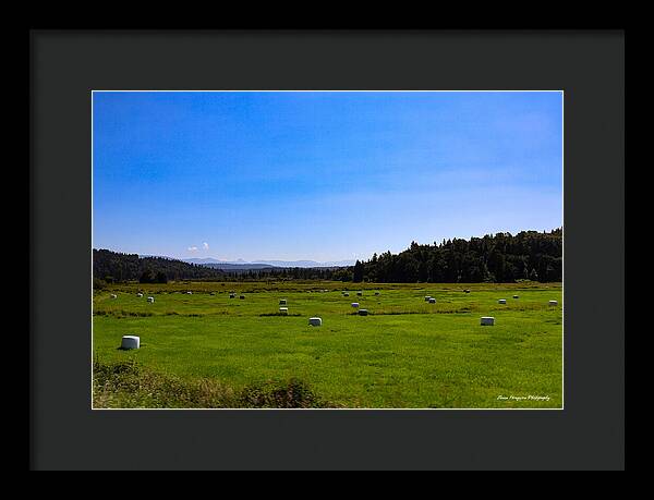 Farming - Framed Print