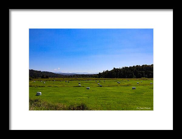 Farming - Framed Print