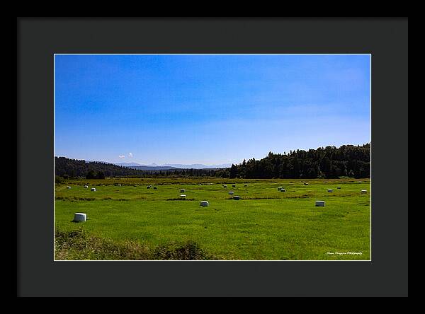 Farming - Framed Print