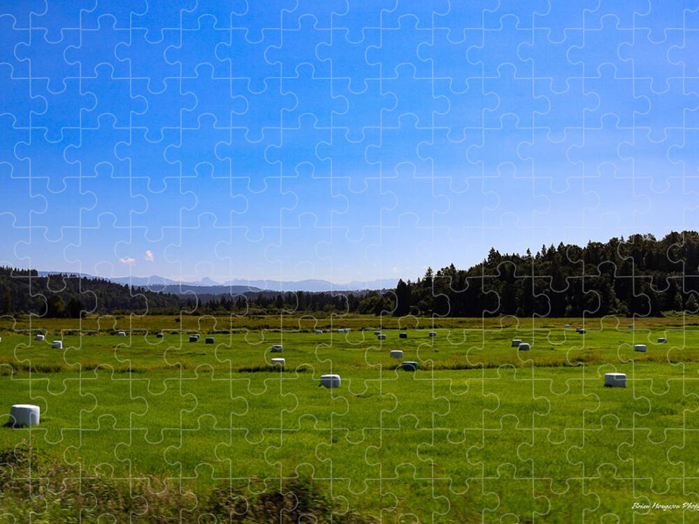 Farming - Puzzle