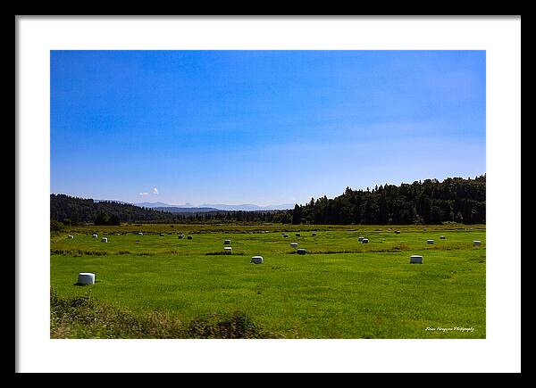 Farming - Framed Print