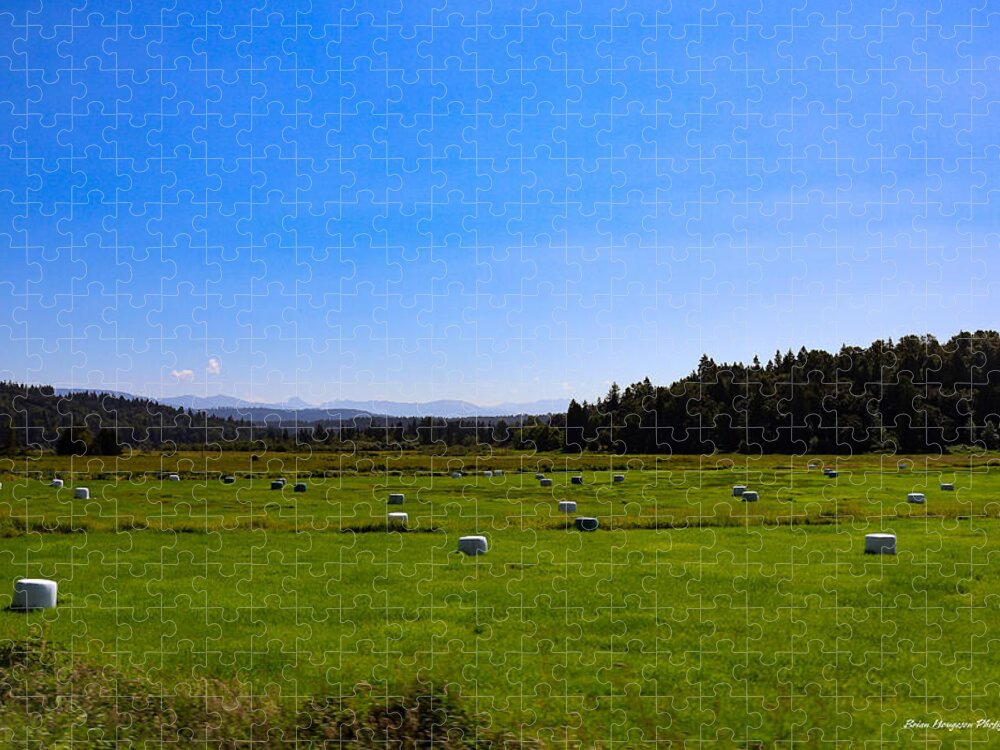 Farming - Puzzle