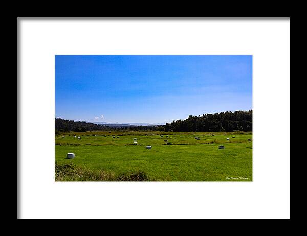 Farming - Framed Print