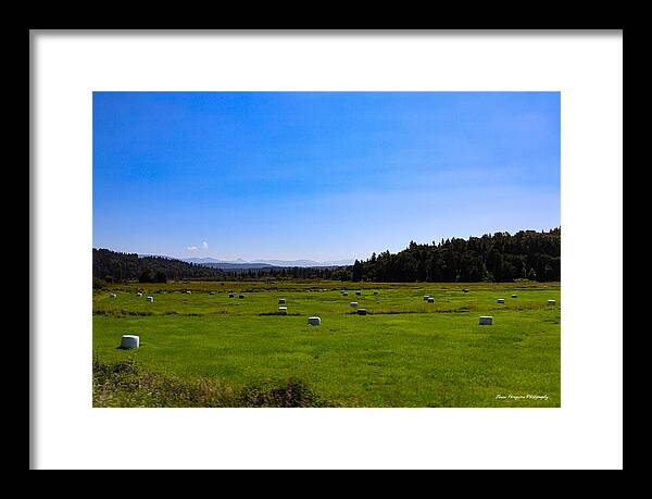 Farming - Framed Print