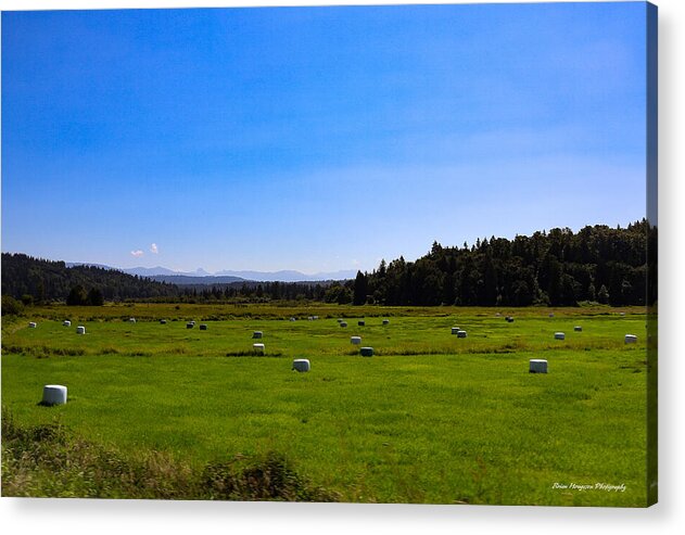 Farming - Acrylic Print