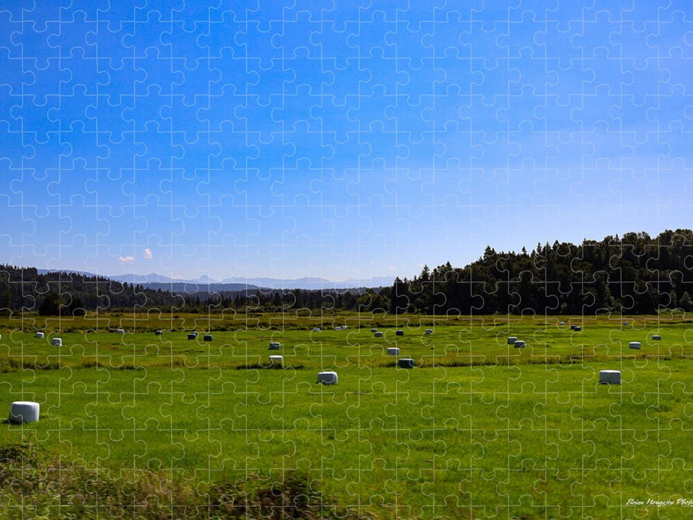 Farming - Puzzle